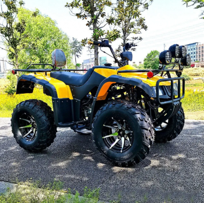 250cc Four-Wheel Drive ATV Longding Quad ATV Farmer Quad Bike