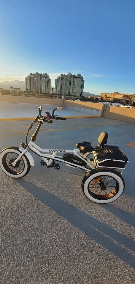 Addmotor Motan Adult Electric Tricycle, 85 Miles, 20x4 Fat Tires 3 Wheel Electric Bike