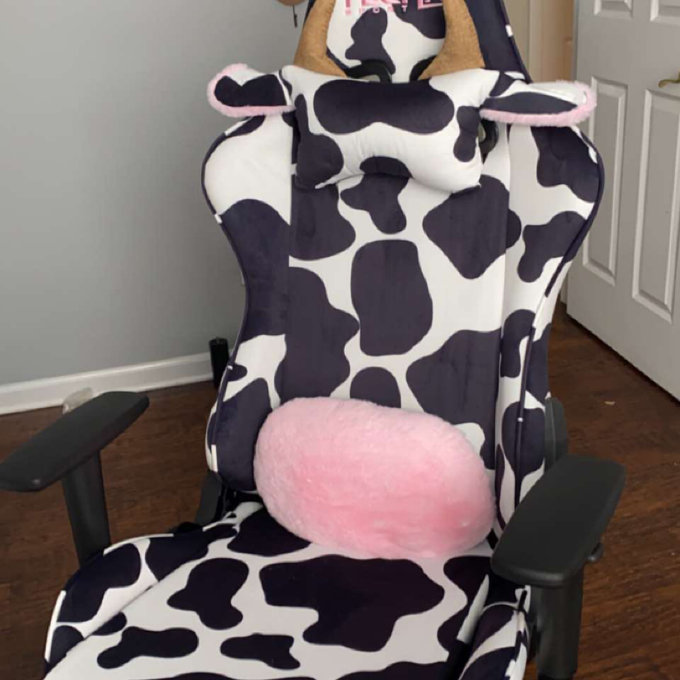 【Furniture】PC & Racing Gaming Chair