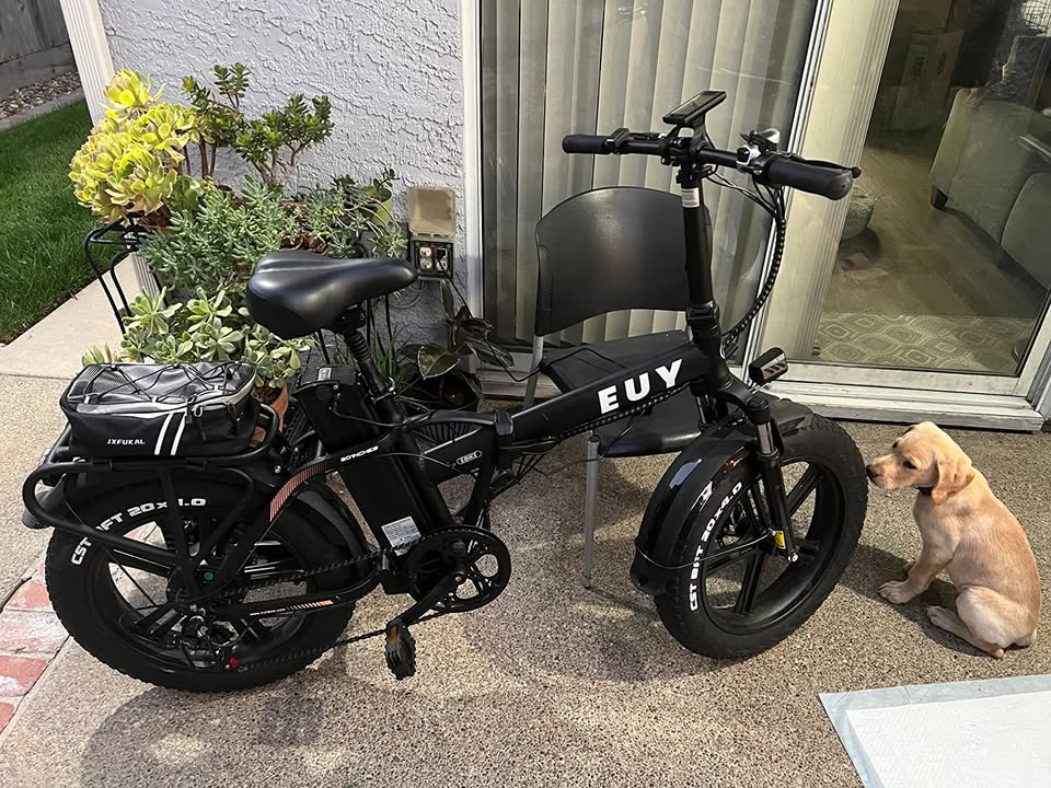 EUY Folding Adult Electric Bike, 750W (Peak 1000W) Motor, 48V 20AH Removable Battery, Commuter